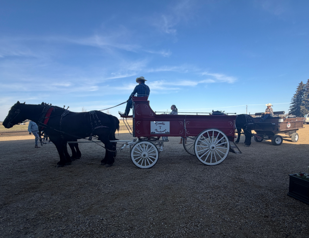 Shelly and Jim's wedding on their property in Red Deer County, Alberta — planned by JK Weddings & Events
